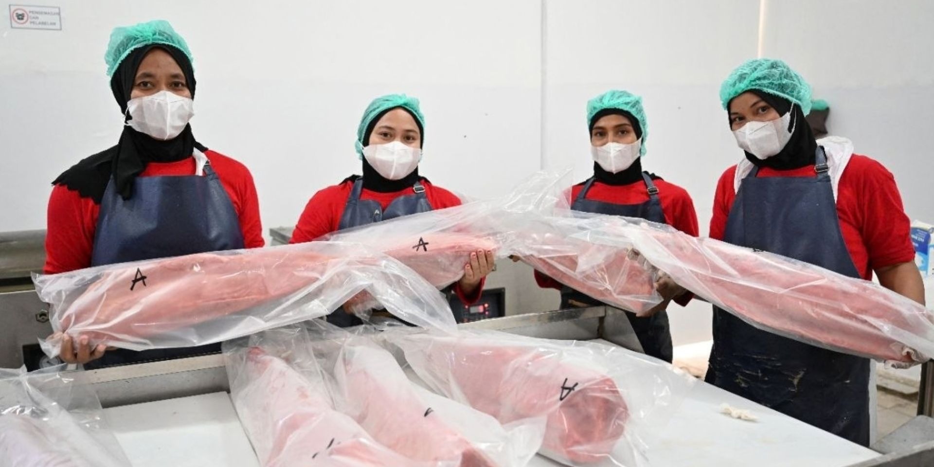 Penghasilan Nelayan Sinjai Naik 75 Persen, KNMP Tongke-Tongke Kirim 12 Ton Tuna Loin ke Jakarta