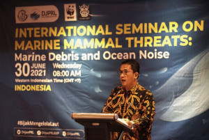 Gandeng Pakar Internasional, KKP Urai Ancaman Sampah Laut dan Kebisingan Bagi Mamalia Laut