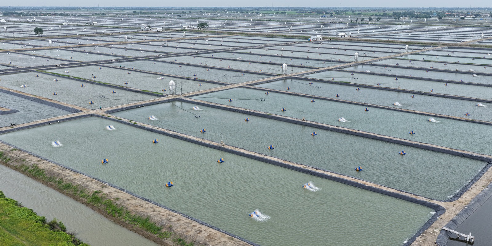Hamparan Kolam ukuran 4000 meter persegi BINS Karawang Per 4 Maret 2026
