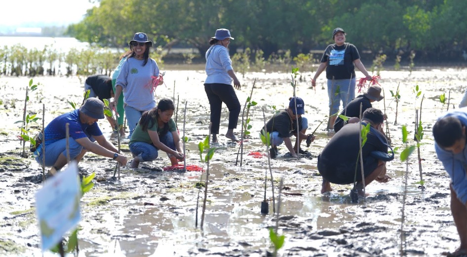 HUT RI ke-81, KKP dan Warga Rote Ndao Tanam 5.000 Mangrove