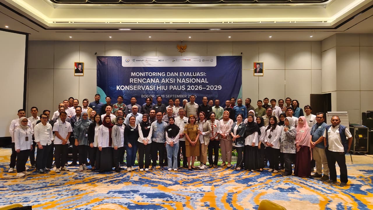 KKP Beri Perlindungan Ekstra Jaga Populasi Hiu Paus