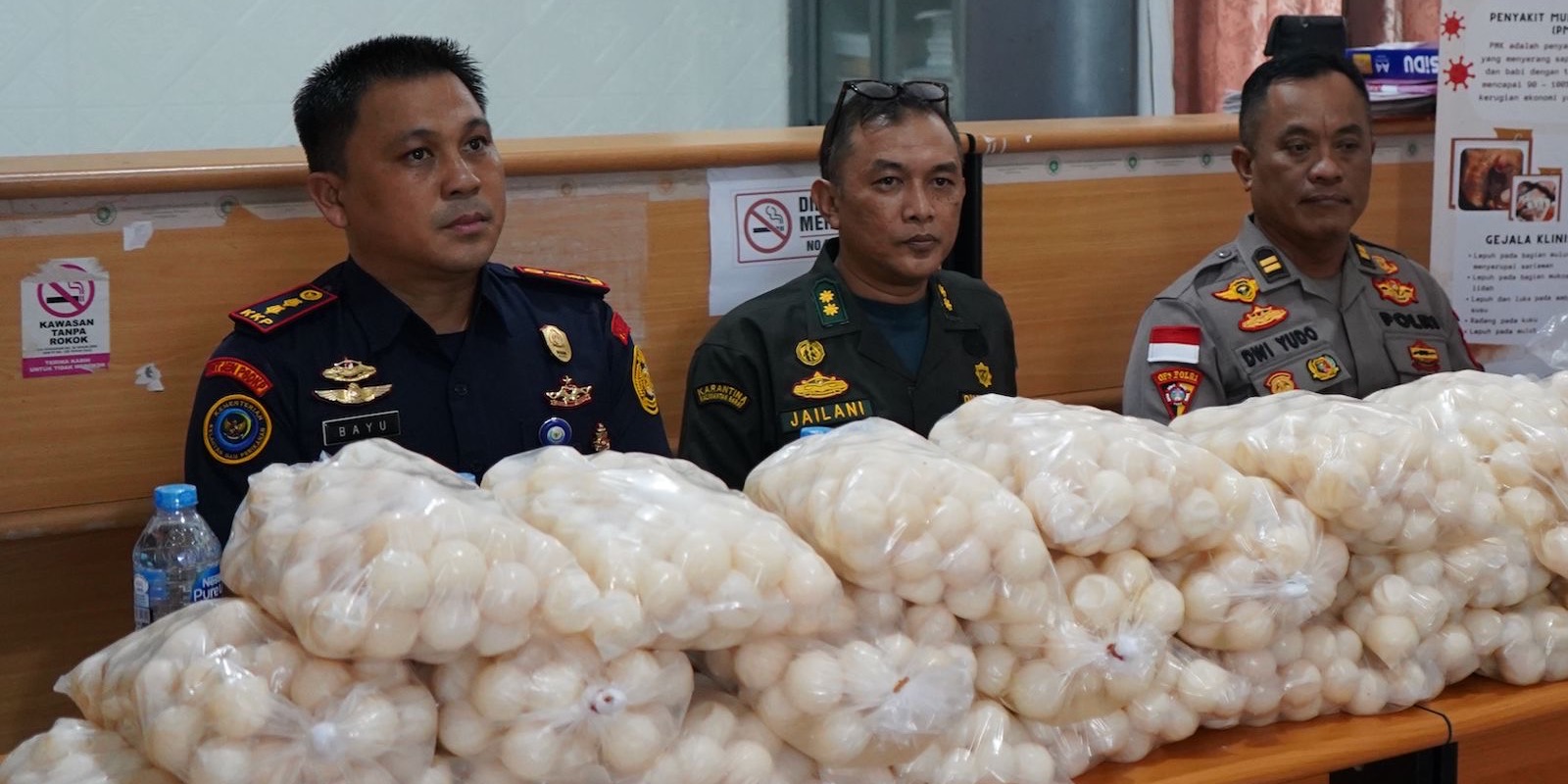 KKP Gagalkan Penyelundupan 5.400 Telur Penyu di Kalbar