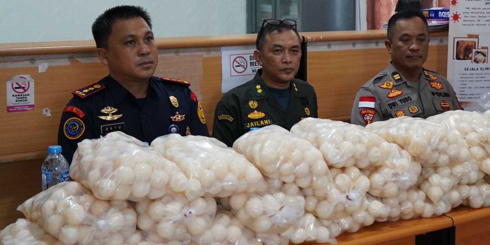 KKP Gagalkan Penyelundupan 5.400 Telur Penyu di Kalbar