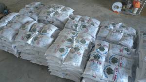KKP Optimalkan Bahan Baku Lokal untuk Jaga Stabiltas Harga Pakan