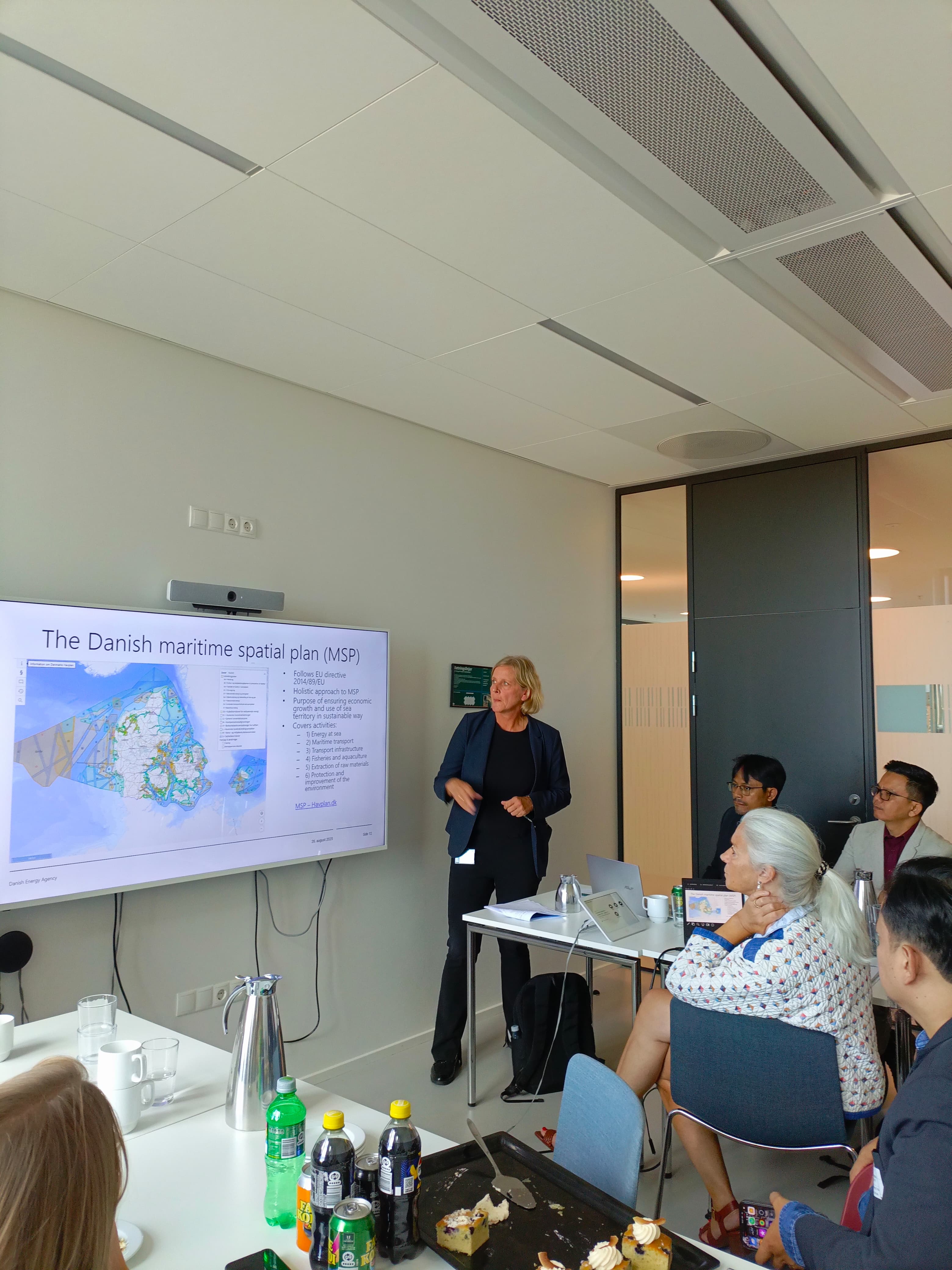KKP Pelajari Implementasi MSP untuk Pengembangan Offshore Wind Energy