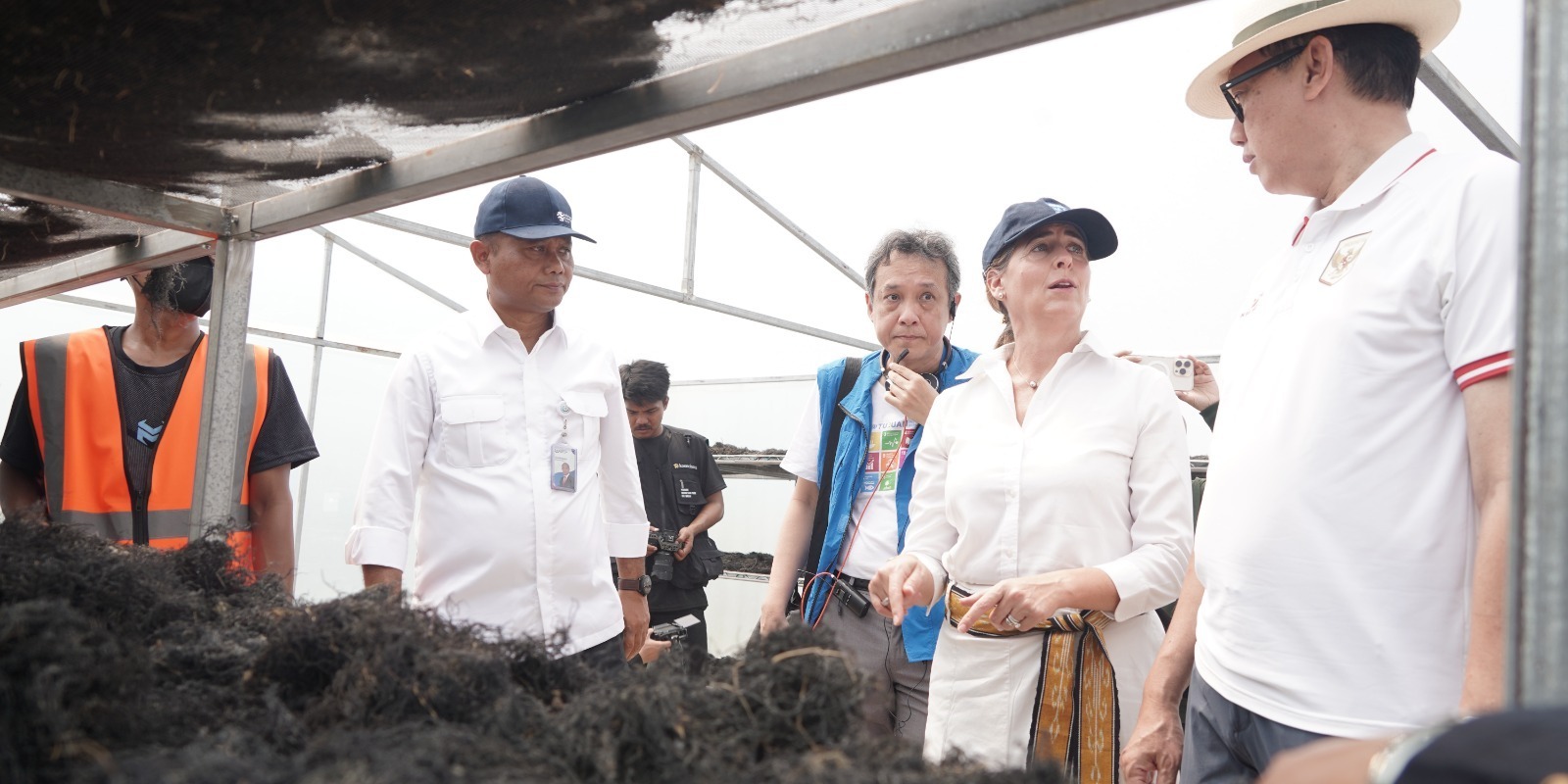 KKP – UNDP Dorong Peningkatan Produksi dan Hilirisasi Rumput Laut Gracilaria di Sidoarjo