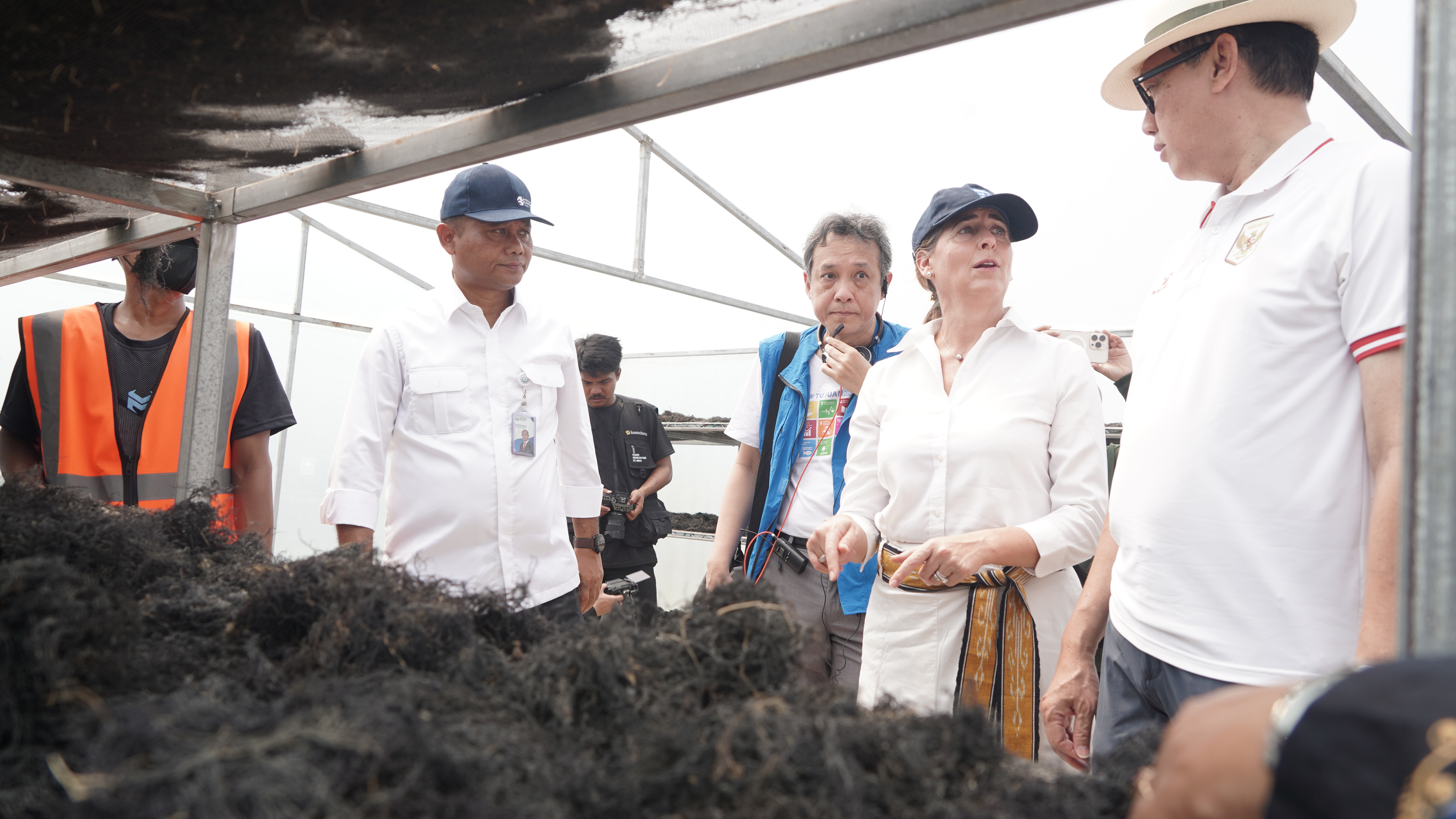 KKP – UNDP Dorong Peningkatan Produksi dan Hilirisasi Rumput Laut Gracilaria di Sidoarjo