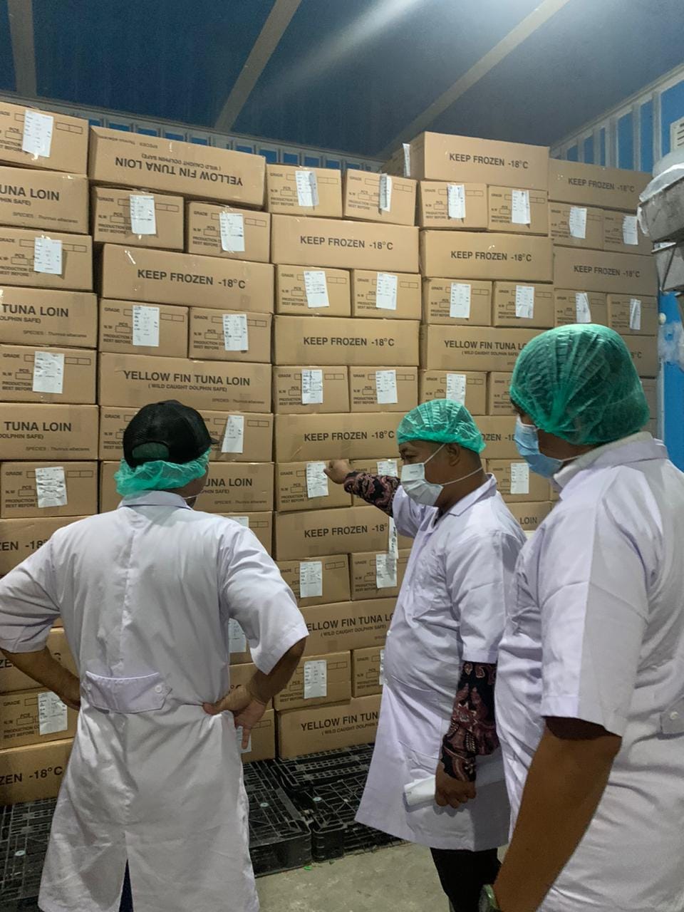 Mutu Terjamin, Ikan Tuna dari Sulawesi Tengah Tangguh di Pasar Ekspor