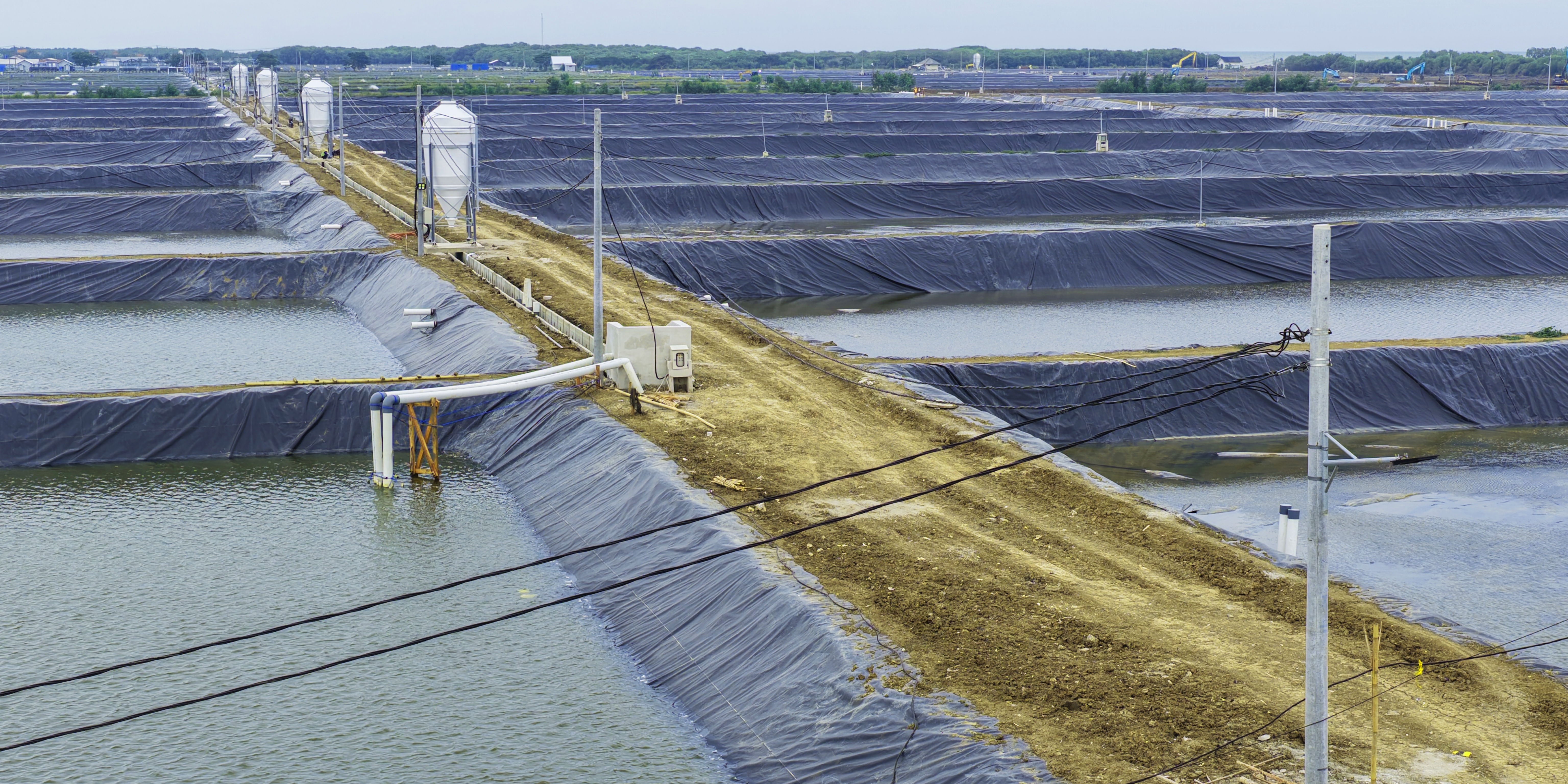 Pemasangan Tiang Listrik Pada Petakan Kolam ukuran 4000 meter persegi BINS Karawang Per 9 Desember 2025