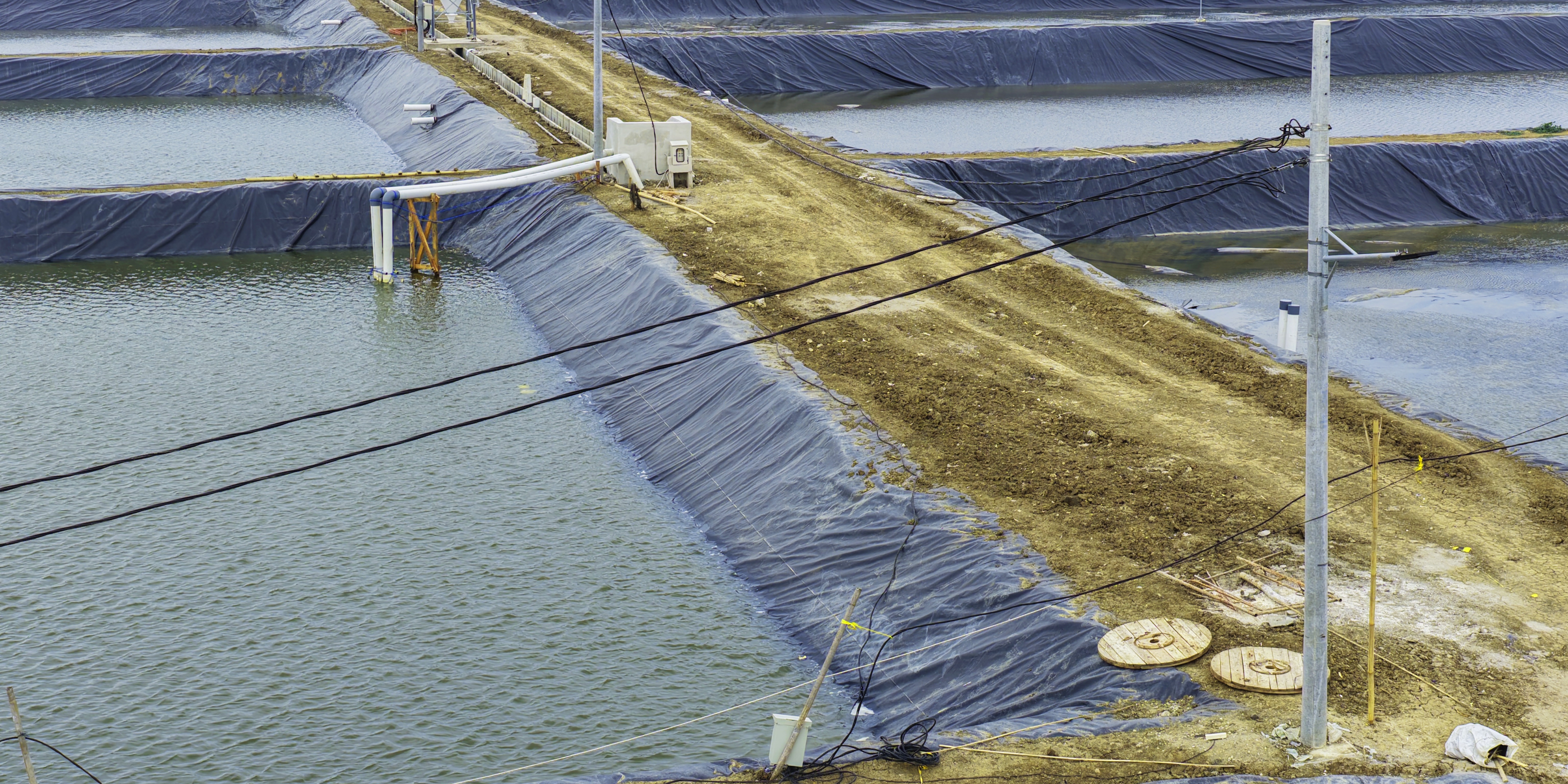 Pemasangan Tiang Listrik Pada Petakan Kolam ukuran 4000 meter persegi BINS Karawang Per 9 Desember 2025
