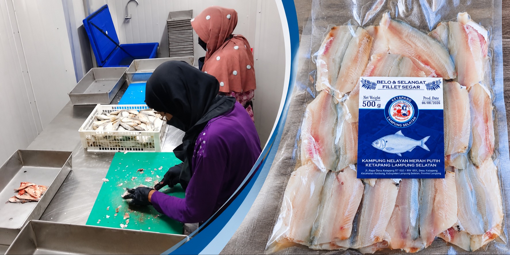 Program KNMP Lahirkan Hilirisasi Perikanan di Lampung Selatan