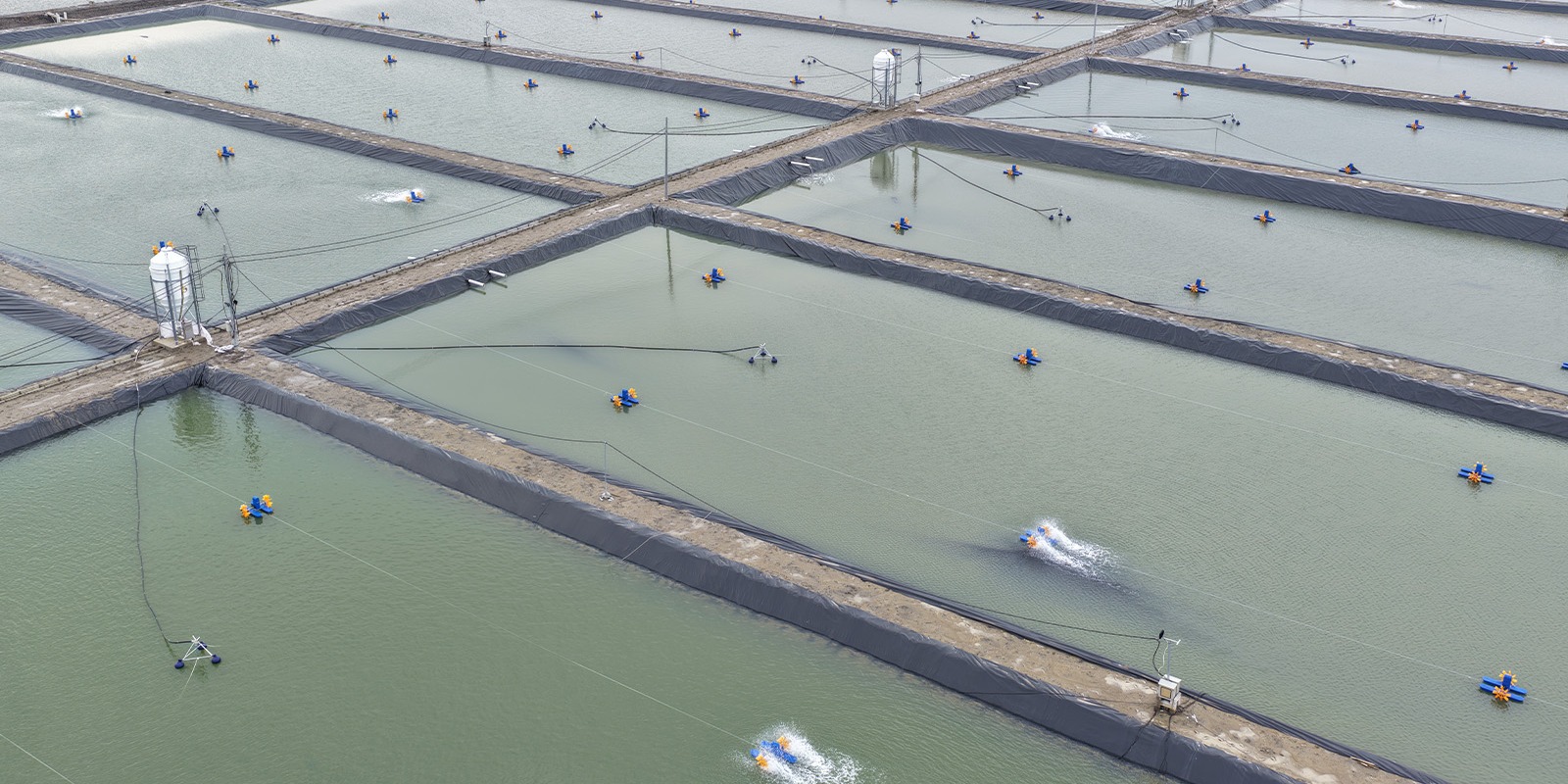 Progres Hamparan Kolam ukuran 4000 meter persegi BINS Karawang Per 15 Januari 2026