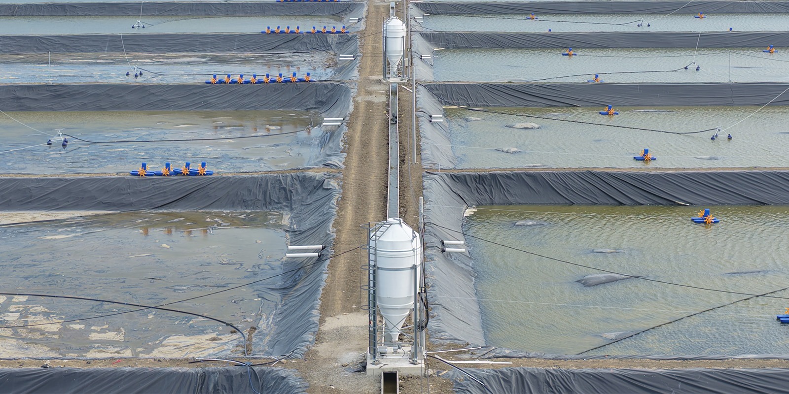 Progres Pemasangan Automatic Feeder Pada Petakan Kolam ukuran 4000 meter persegi BINS Karawang Per 18 Desember 2025