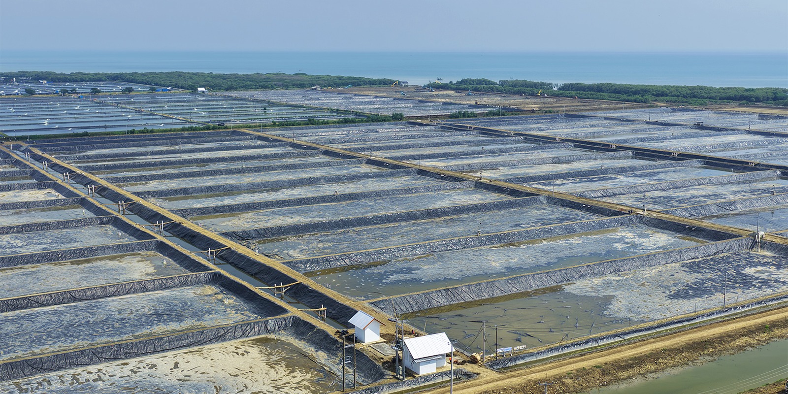 Progres Pemasangan Geomembran Kolam ukuran 4000 meter persegi BINS Karawang Per 27 November 2025