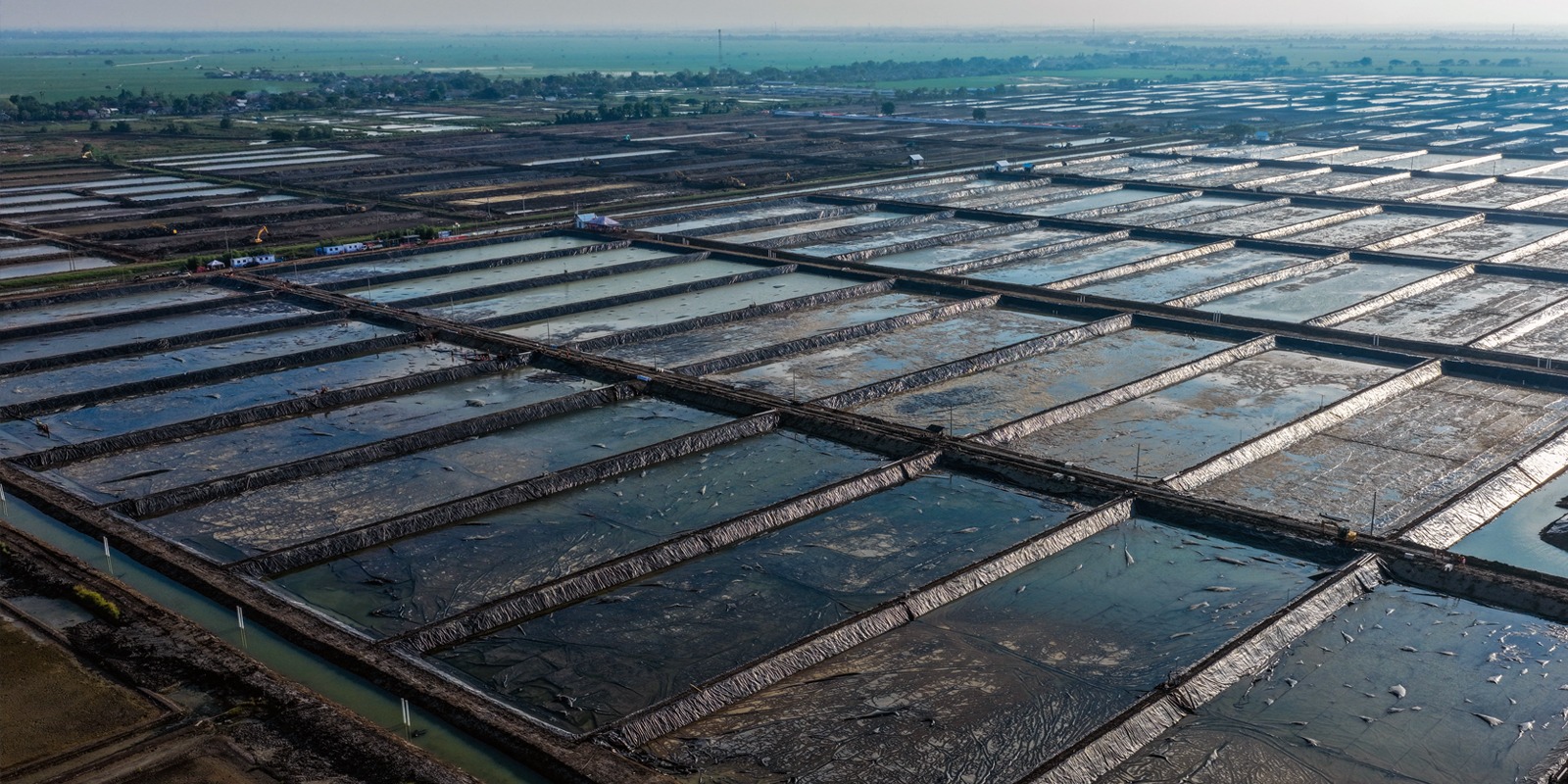 Progres Pemasangan Geomembran Kolam ukuran 4000 meter persegi BINS Karawang Per 31 Oktober 2025