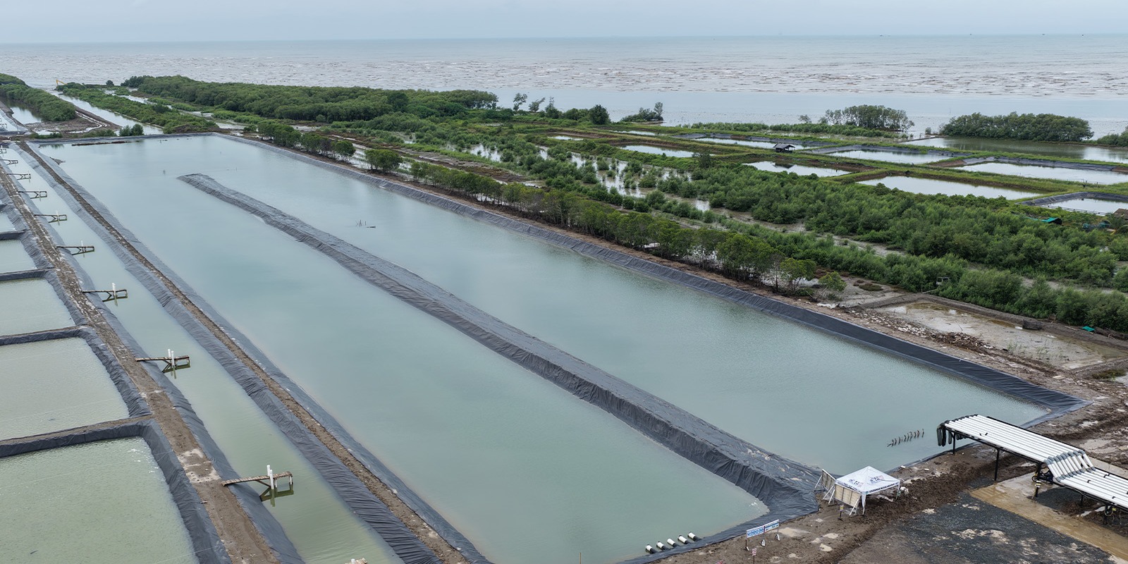 Progres Tandon BINS Karawang Per 15 Januari 2026