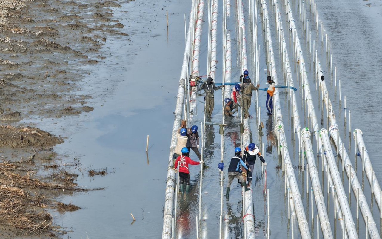 Satu Tahun Prabowo, Ini Progres Program Strategis Nasional di Sektor Perikanan Budi Daya