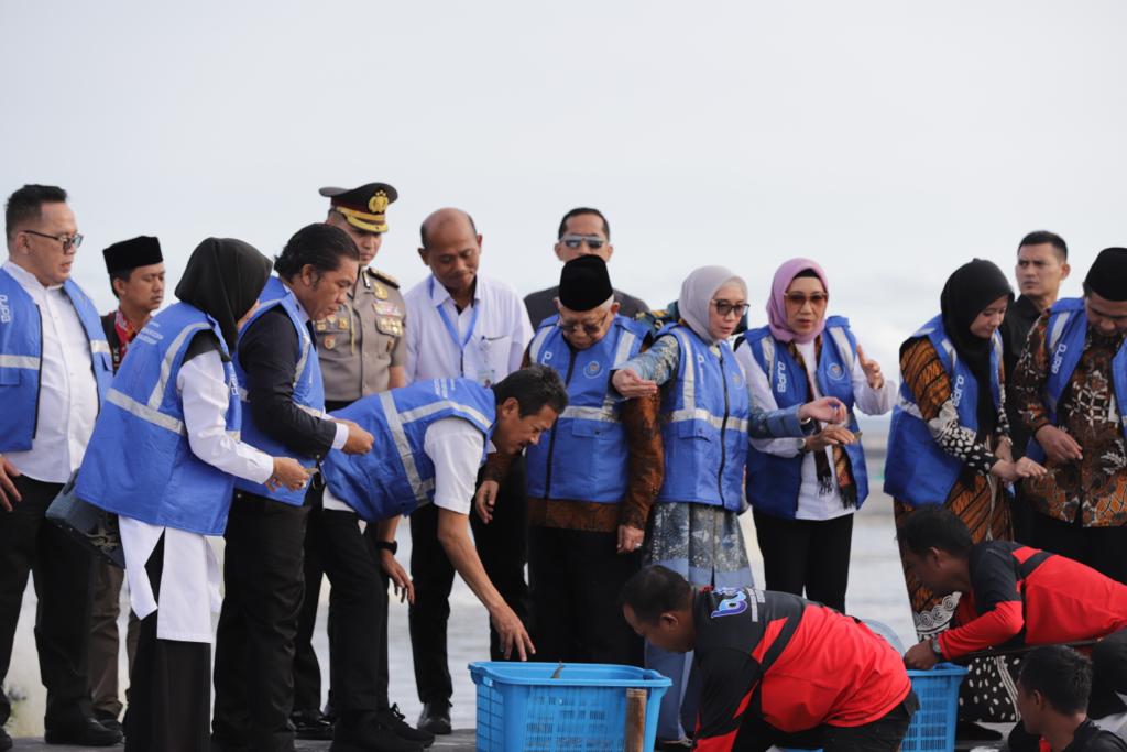 Wapres RI - Menteri KKP Panen 249 Ton Udang di Tambak Modern Terbesar