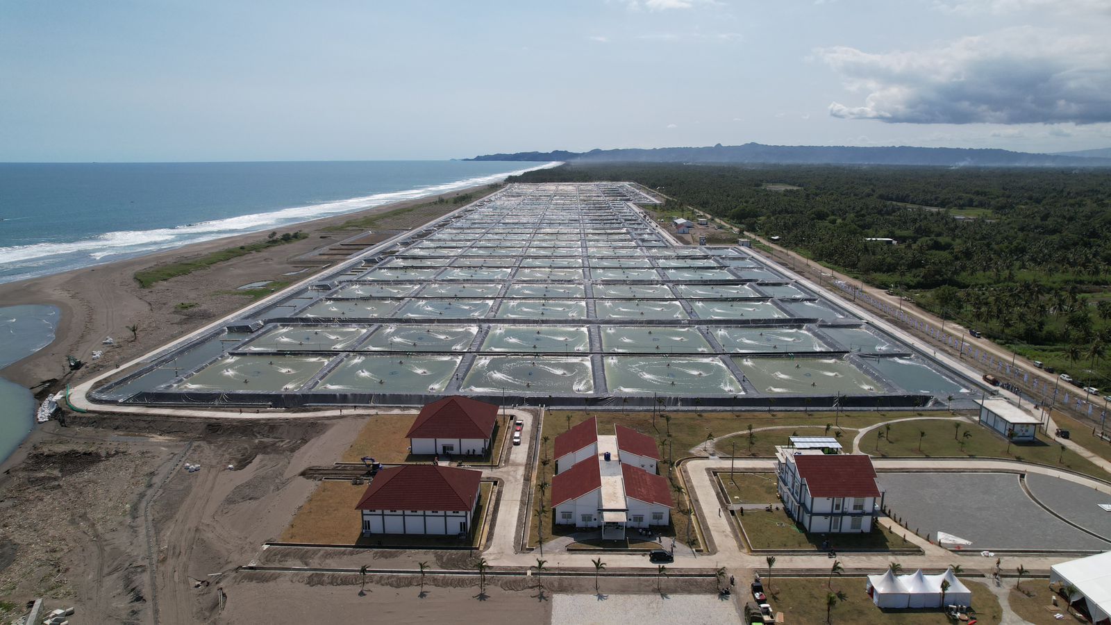 Alhamdulillah, Bapak Presiden @jokowi sudah meresmikan tambak Budidaya Udang Berbasis Kawasan (BUBK) di Kebumen