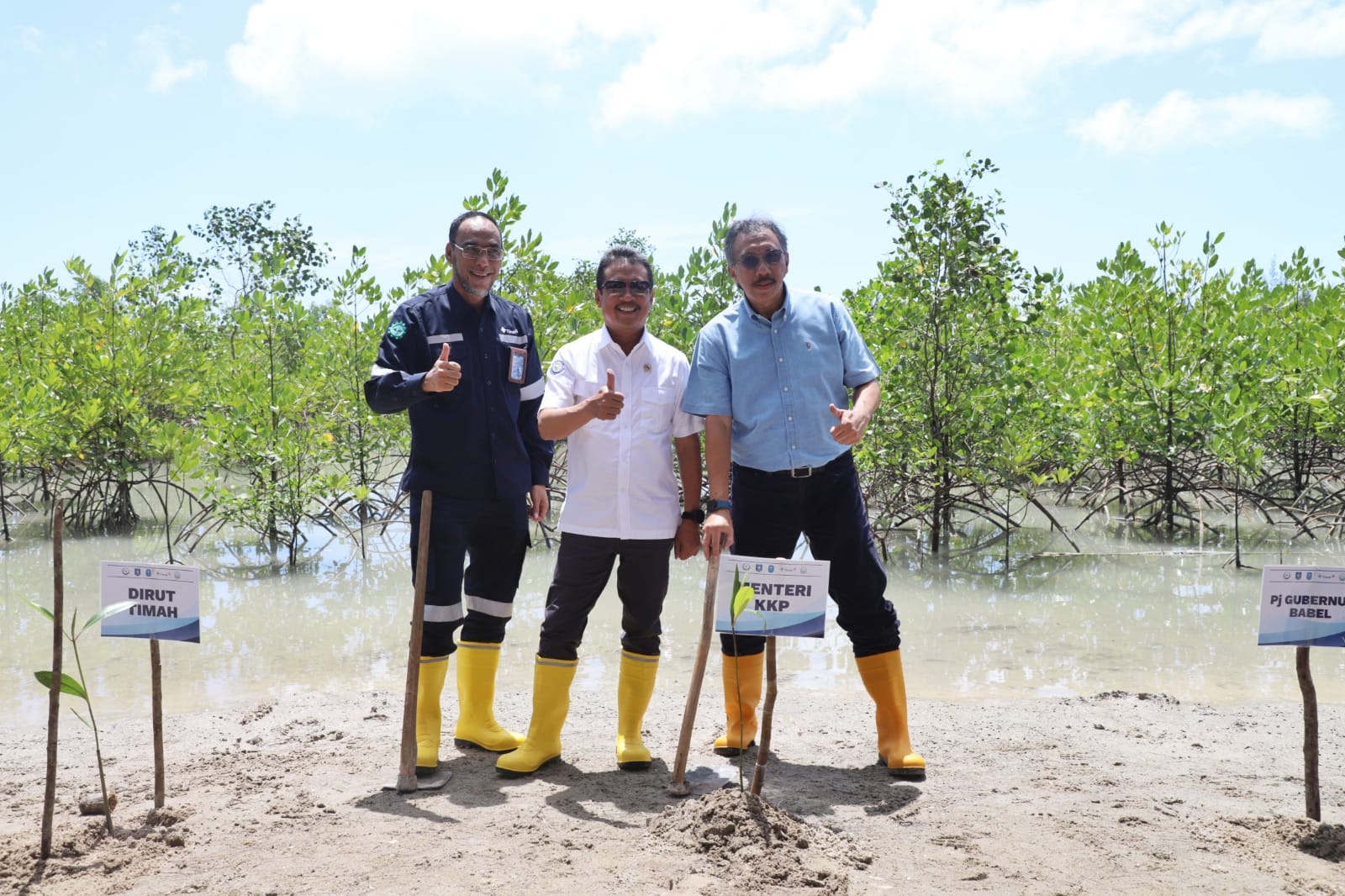 Menteri Trenggono bersama Pj Gubernur Kep. Babel Bapak Ridwan Djamaluddin, Walikota Pangkal Pinang Bapak Maulan Aklil, Bupati Bangka Bapak Mulkan, dan Dirut PT Timah Bapak Achmad Ardinato , menanam mangrove dan melepas kepiting bakau di kawasan Pantai Rebo