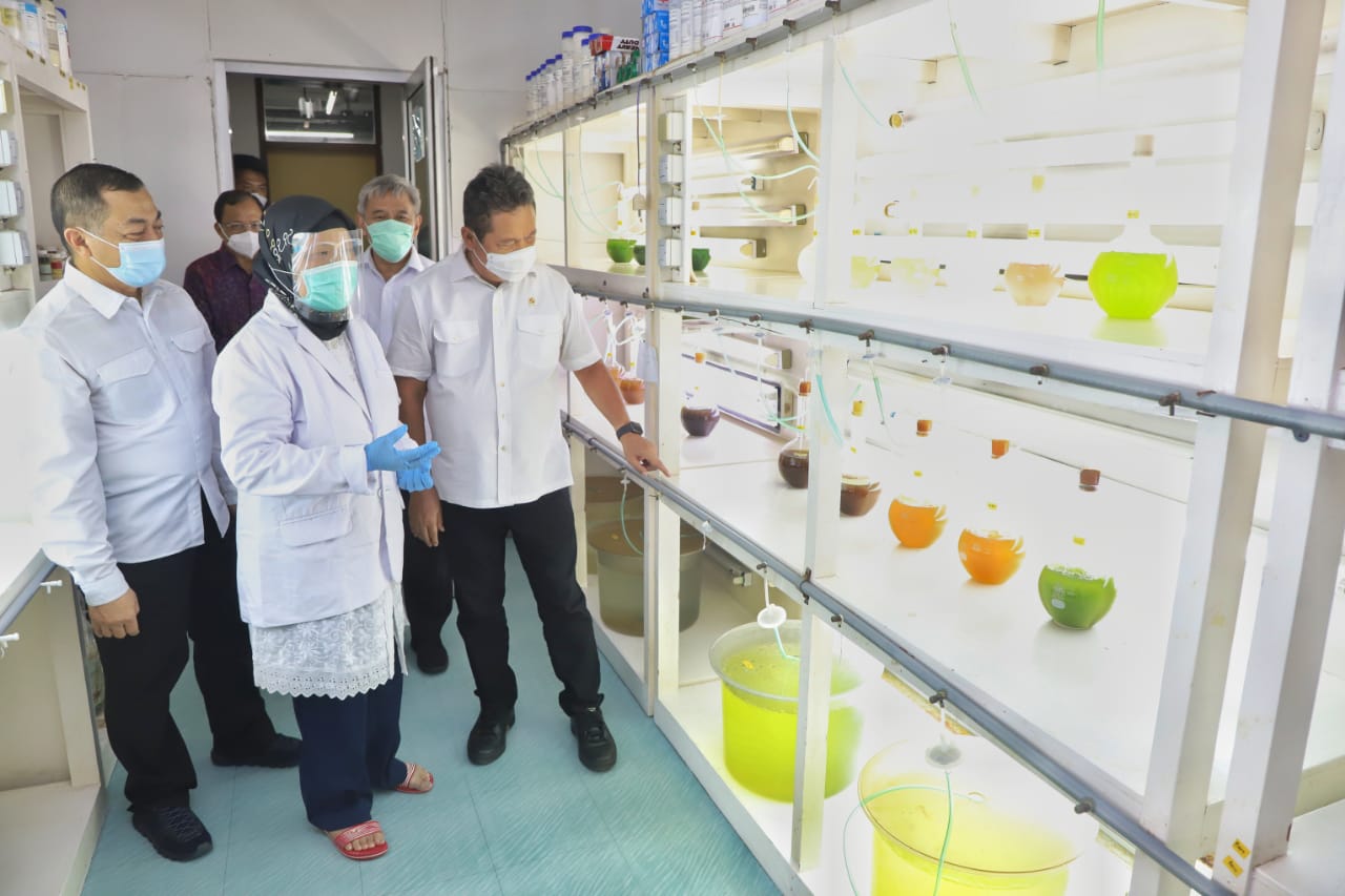 Menteri Kelautan dan Perikanan Sakti Wahyu Trenggono meninjau fasilitas berupa laboratorium, Hatchery Kerapu, Kakap, Lobster, Abalon, Teripang di Balai Riset Perikanan Budidaya Gondol Penyabangan, Gerokgak, Kabupaten Buleleng, Bali (20/1).