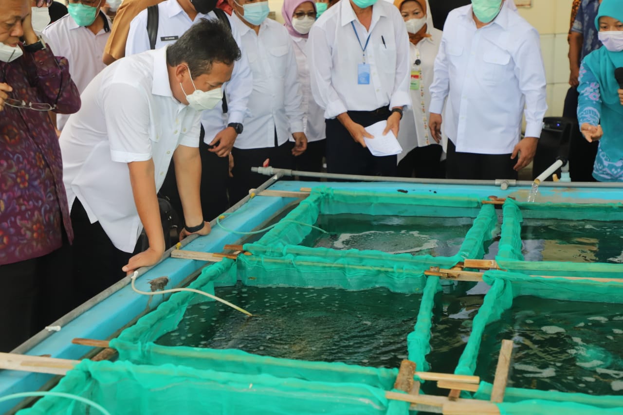Menteri Kelautan dan Perikanan Sakti Wahyu Trenggono meninjau fasilitas berupa laboratorium, Hatchery Kerapu, Kakap, Lobster, Abalon, Teripang di Balai Riset Perikanan Budidaya Gondol Penyabangan, Gerokgak, Kabupaten Buleleng, Bali (20/1).