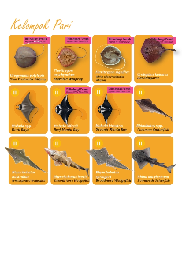Jenis Ikan Dilindungi dan/atau Termasuk Appendik CITES