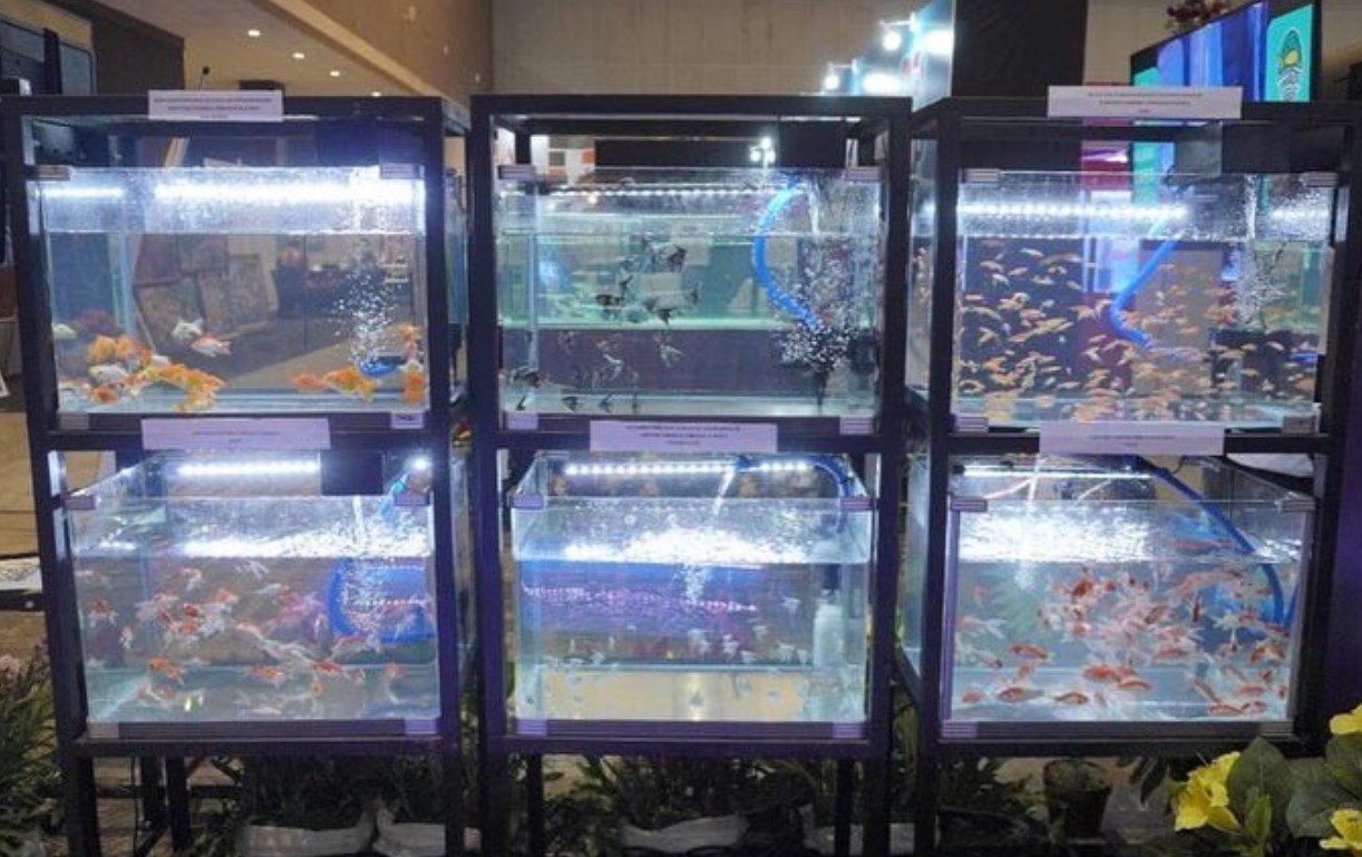 Direktorat Jenderal Perikanan Budidaya mengikuti pameran Kalikan Expo 2022 di JIExpo Kemayoran Jakarta
