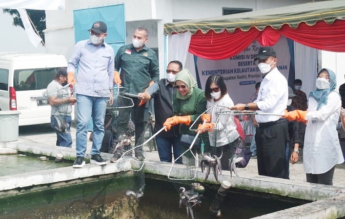Dirjen PB mendampingi kunjungan kerja Wakil Ketua Komisi IV DPR RI di Kab. Kediri (18/12/21)