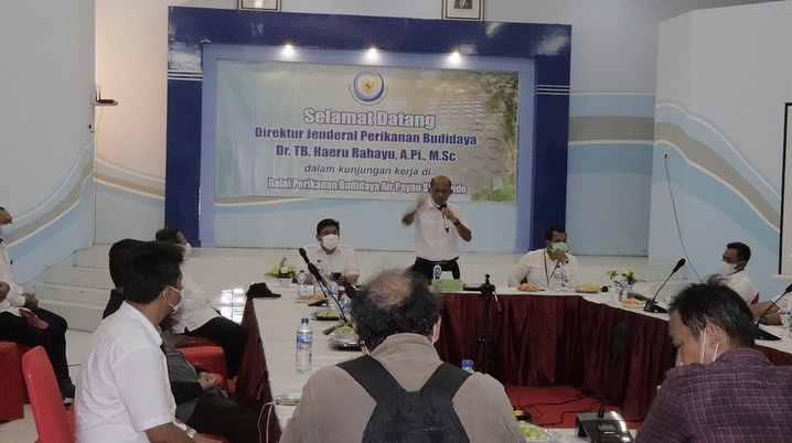 Dirjen PB melakukan peninjauan Tambak Shrimp Farming di BPBAP Situbondo (30/10/21)