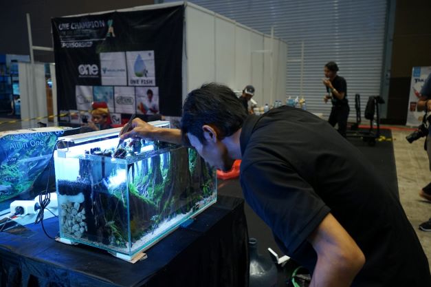 Talkshow Ikan Hias dan Live Setting Aquascape di Kalikan Expo 2022