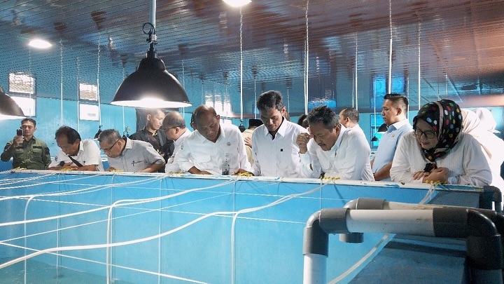 Peresmian Modeling Budidaya Lobster di Batam