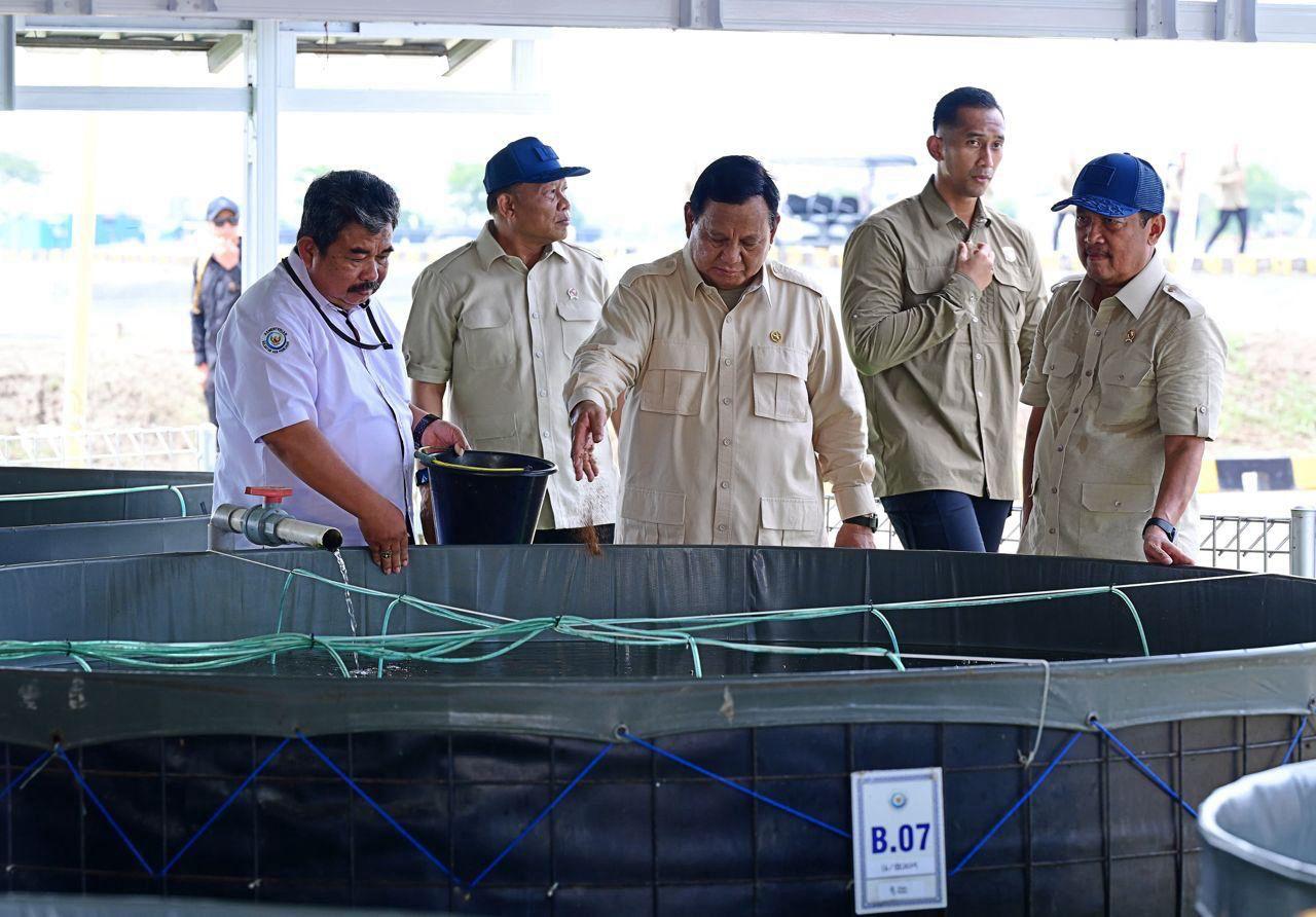 KKP Siapkan Panen Siklus Kedua BINS Dukung MBG