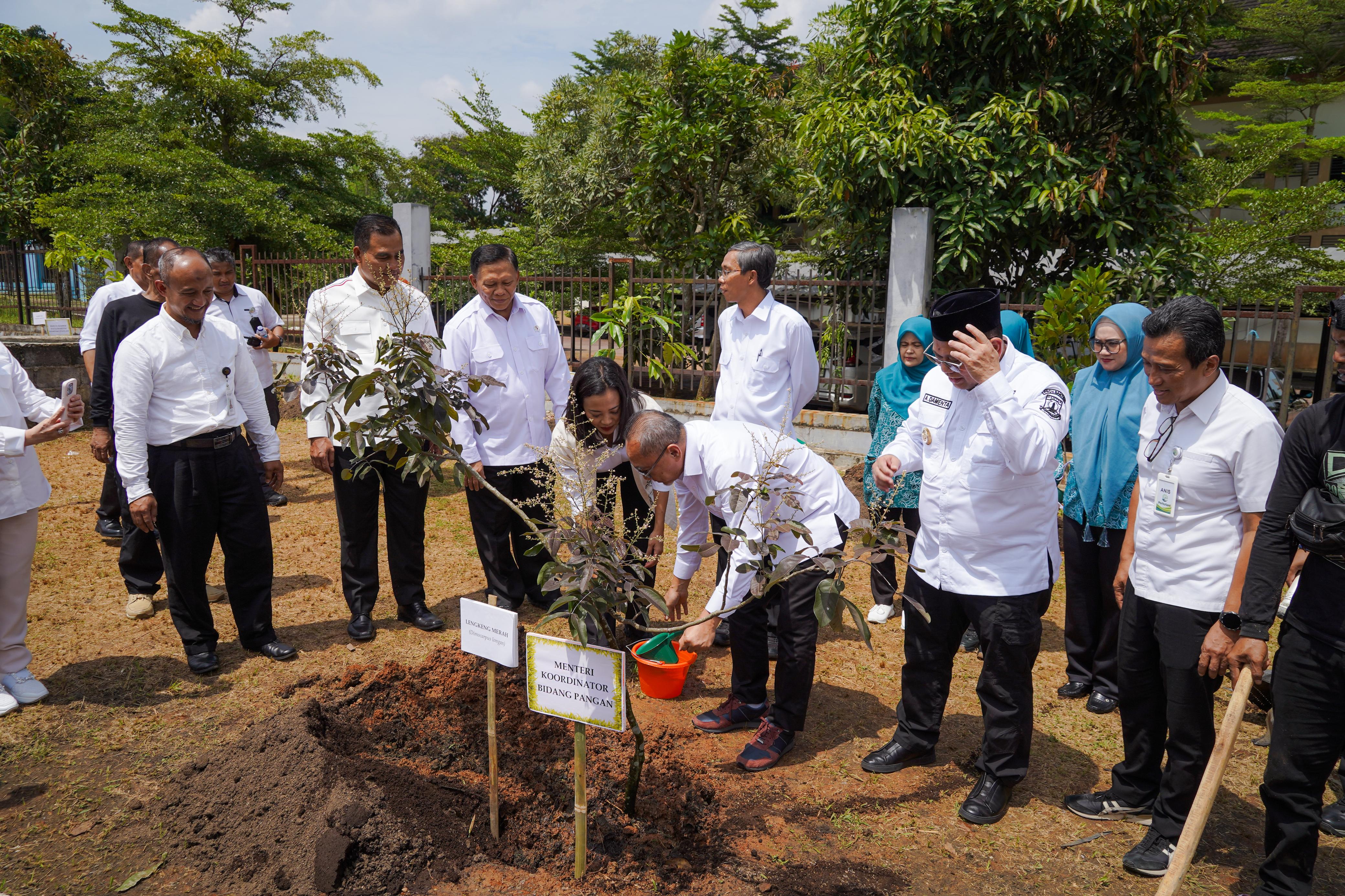 Wakil Menteri Kelautan dan Perikanan Tinjau Kesiapan Swasembada Garam Nasional di Banten