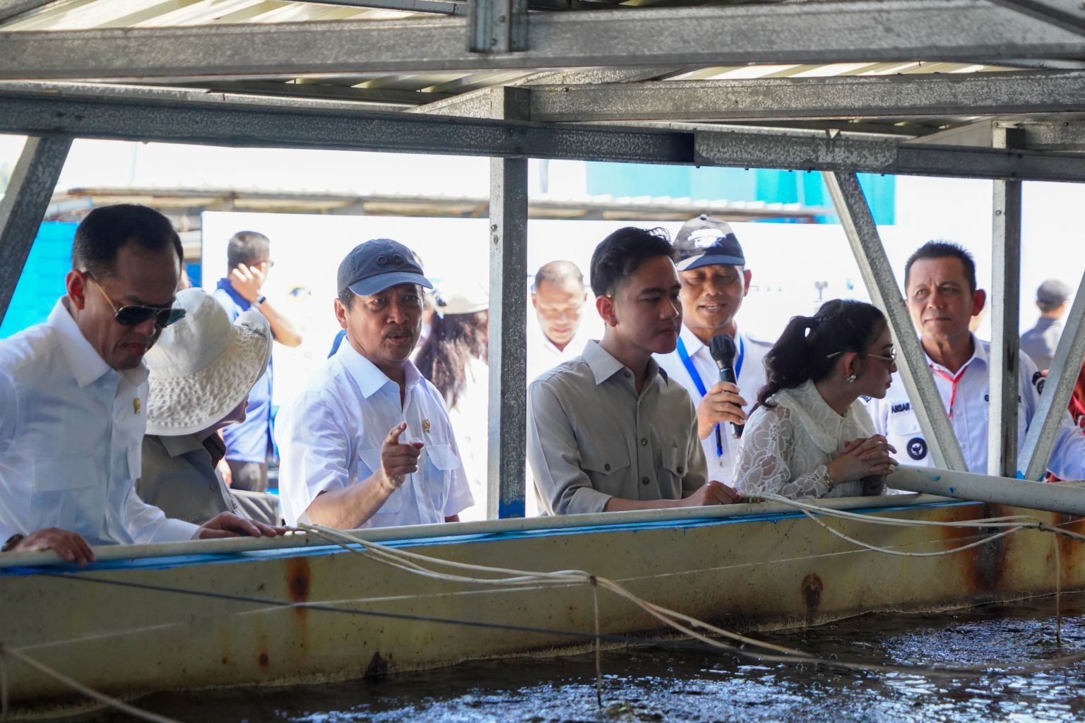 Panen Perdana Lobster di Modeling Budi Daya Balai Perikanan Budidaya Laut Batam bersama Wakil Presiden RI