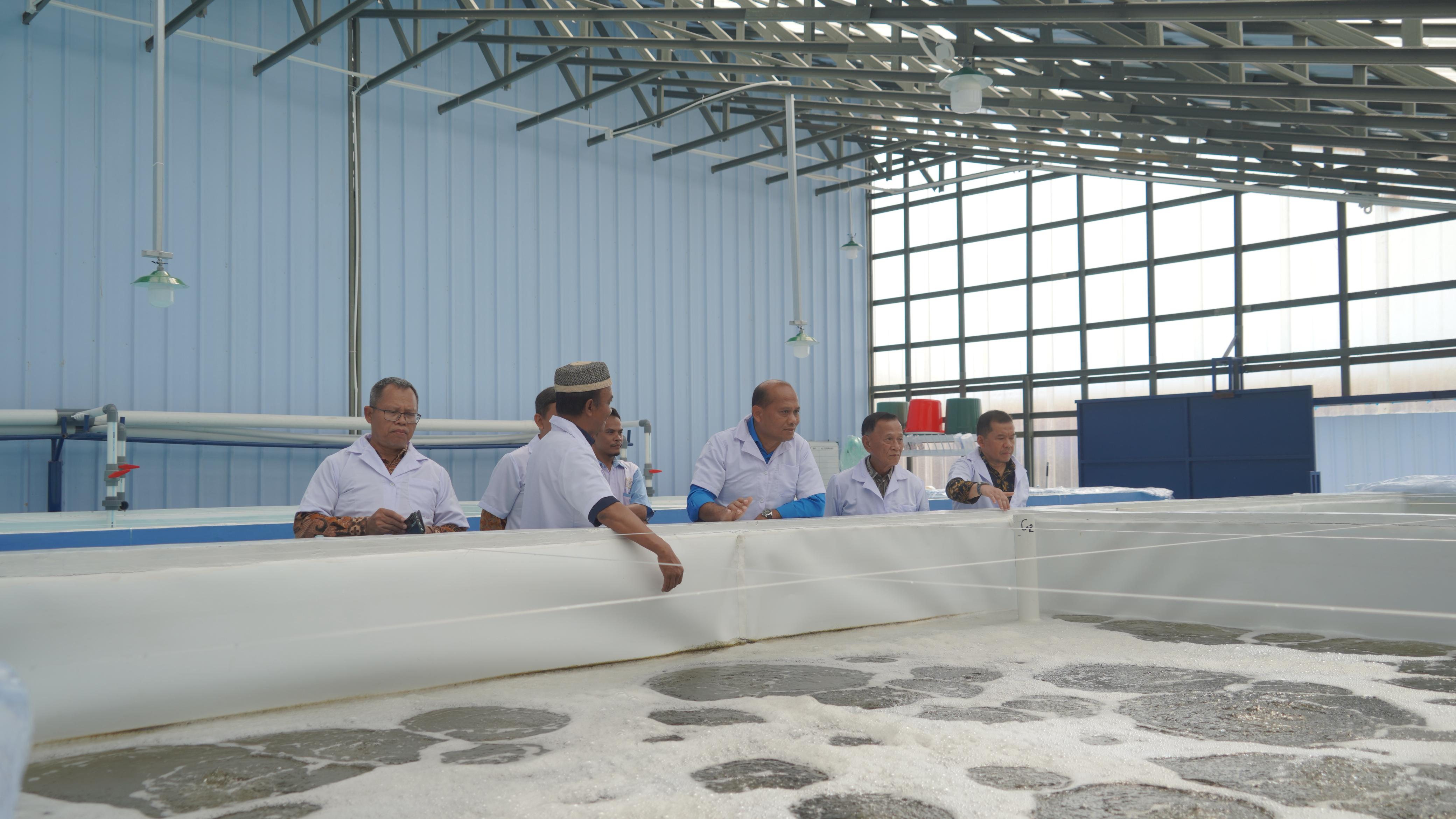 Kunjungan Kerja Direktur Jenderal Perikanan Budi Daya ke Provinsi Lampung