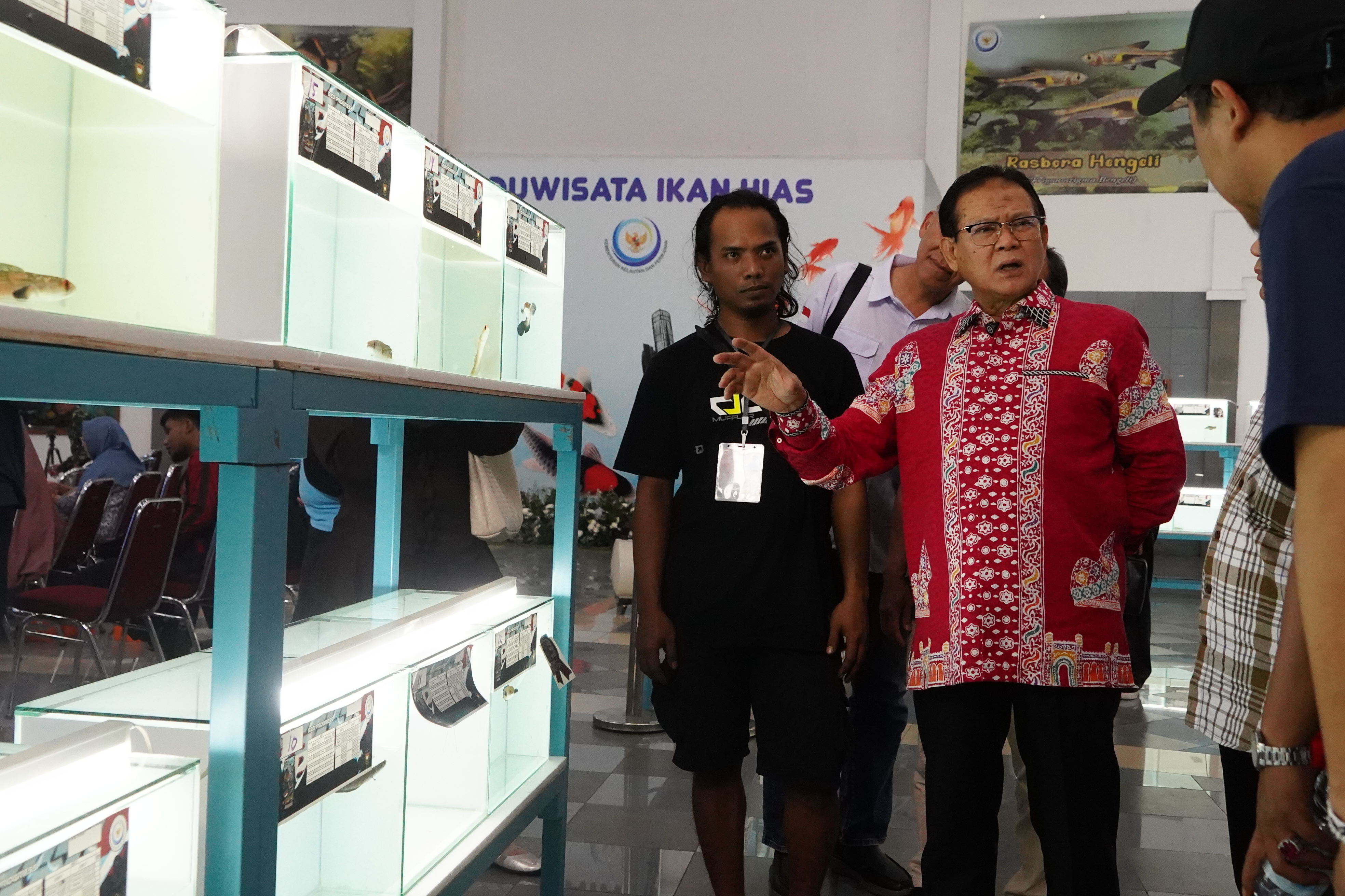 Kontes Ikan Hias Channatourahmi #3