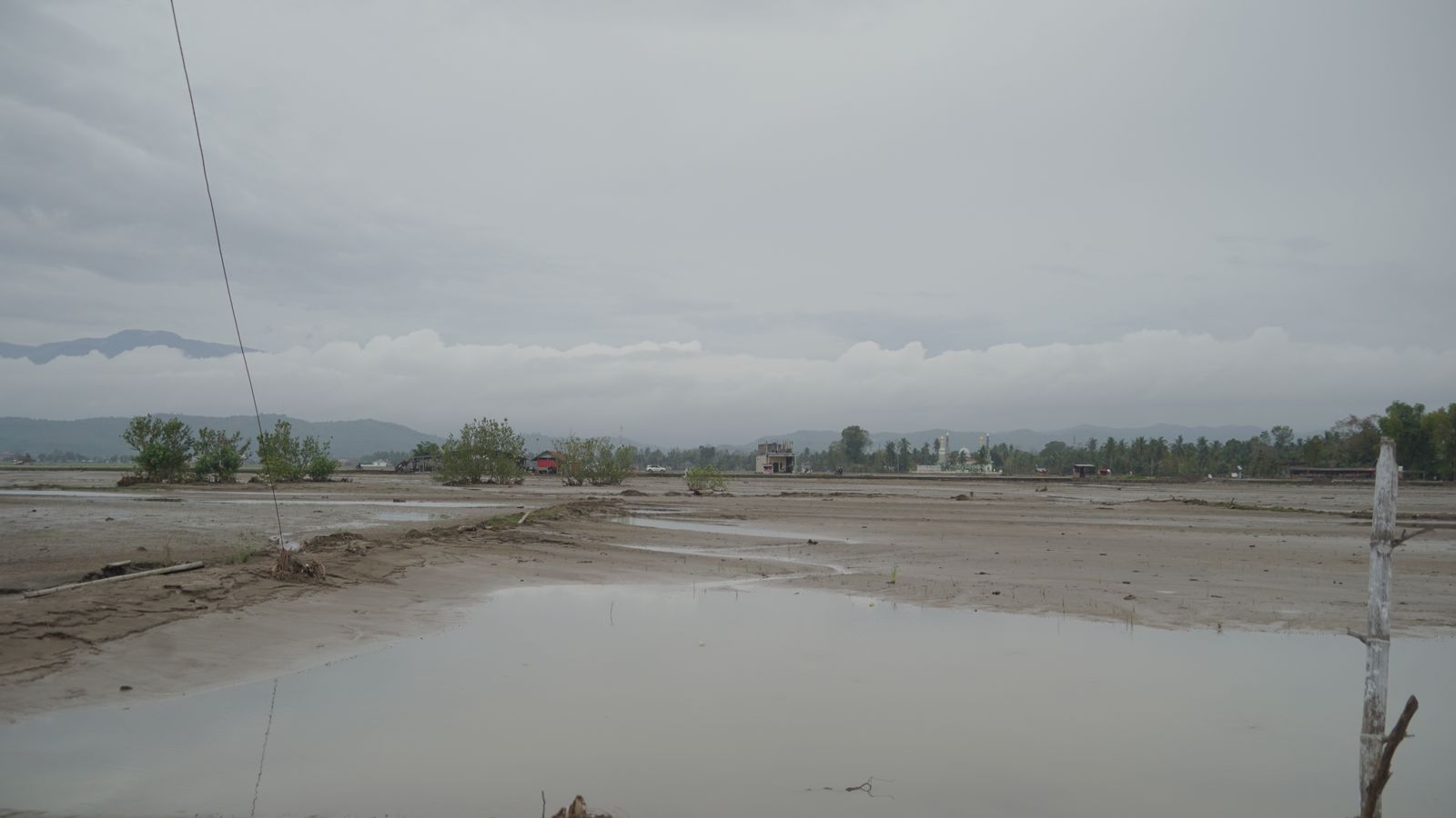 Kunjungan Kerja Dirjen PB Mendampingi MKP ke Lokasi Tambak Budi Daya Ikan Terdampak Bencana di Aceh