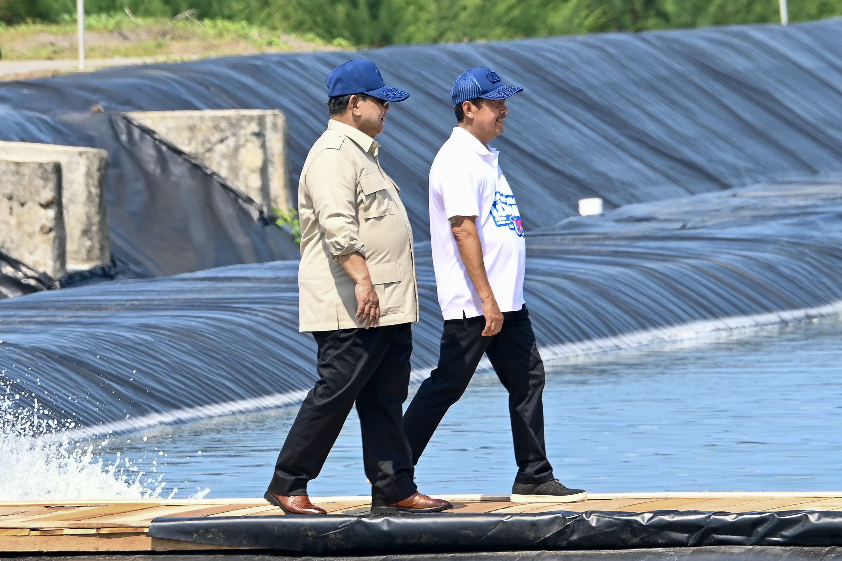 Presiden Prabowo Panen Raya Udang Vannamei di BUBK Kebumen