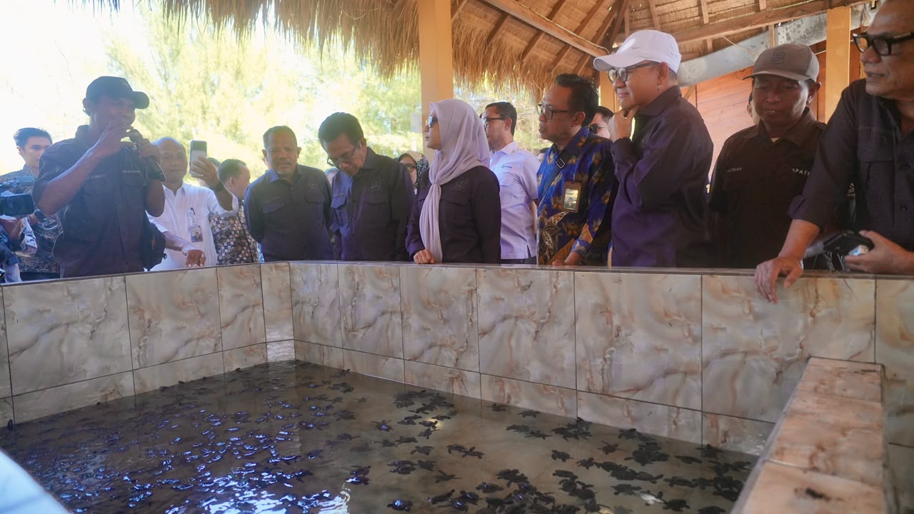 Kunjungan Kerja Spesifik Komisi IV DPR RI di Kawasan Konservasi Penyu Pantai Goa Cemara, D.I Yogyakarta